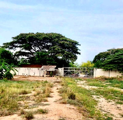 ที่ดิน พัทยา : ขายที่ดินแปลงสวย โซนหาดจอมเทียน พัทยา ทำเลทอง ใกล้แหล่งชุมชน 