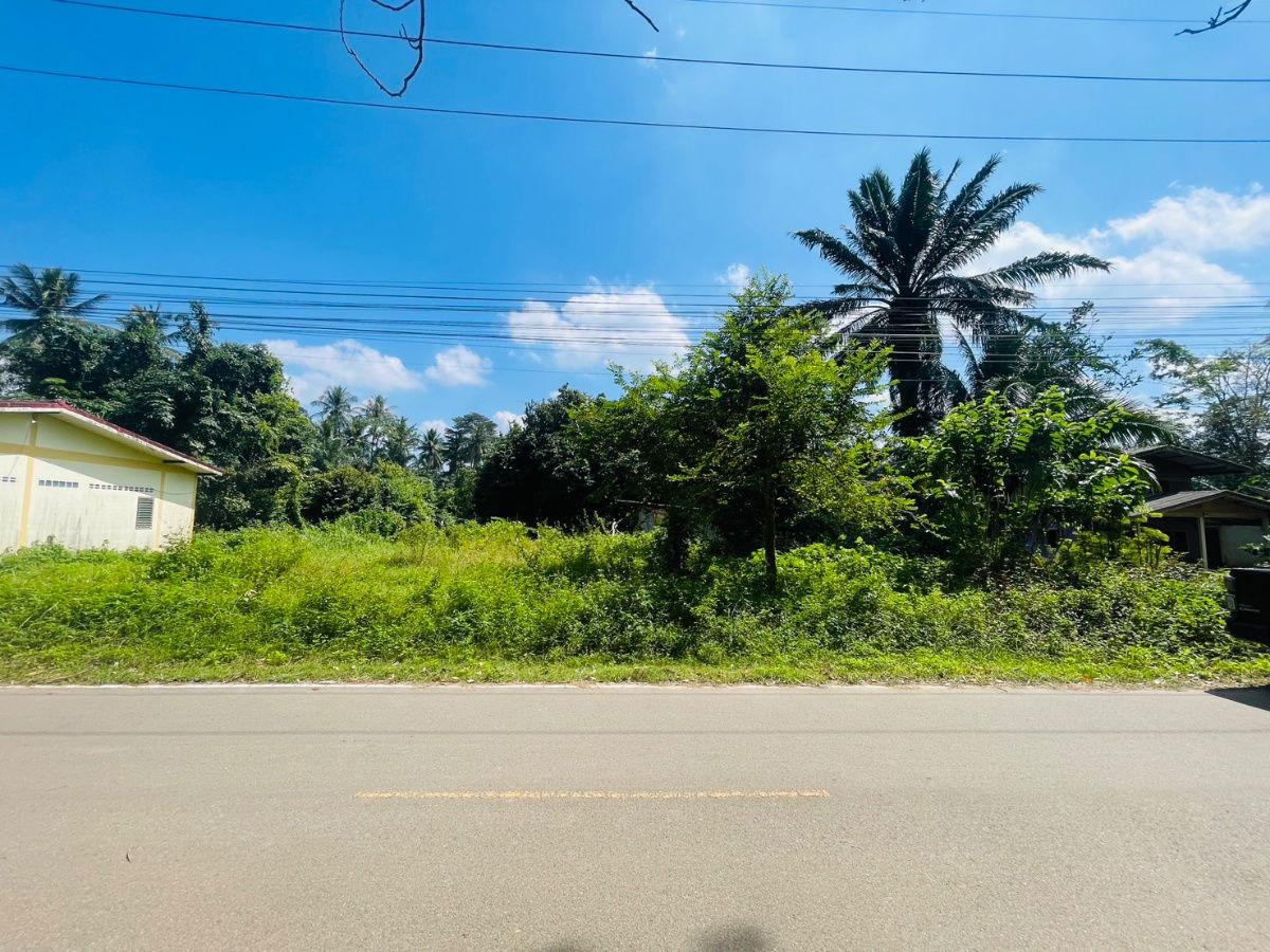 รูป ที่ดินเปล่า85ตารางวาปรับหน้าดินแล้ว - รูปที่ 4/5