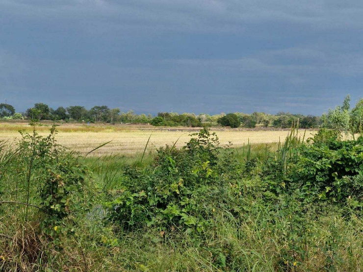 รูป ที่ดิน 5-1-38 ไร่ คลองสาม คลองหลวง
ติดคู่ขนานกาญจนาภิเษก - รูปที่ 12/12