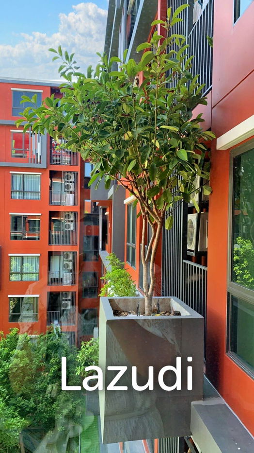 picture 1 Bed 28 SQ.M The Tree Dindaeng - Ratchaprarop - 14/14