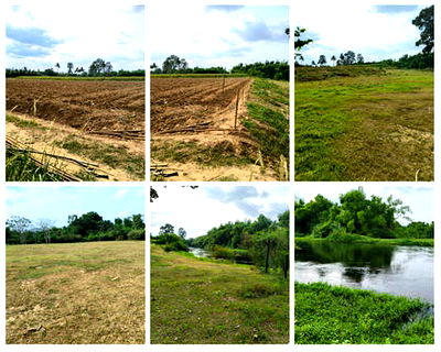 เช่าที่ดิน เพชรบุรี : ให้เช่าที่ดินติดแม่น้ำเพชรบุรีทำรีสอร์ต  หน้ากว้าง ริมน้ำสวย มีชายท่า ฮวงจุ้ยท้องมังกร  ขนาดประมาณ 5 ไร่