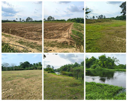 รูป ให้เช่าที่ดินติดแม่น้ำเพชรบุรีทำรีสอร์ต  หน้ากว้าง ริมน้ำสวย มีชายท่า ฮวงจุ้ยท้องมังกร  ขนาดประมาณ 5 ไร่ - รูปที่ 1/1