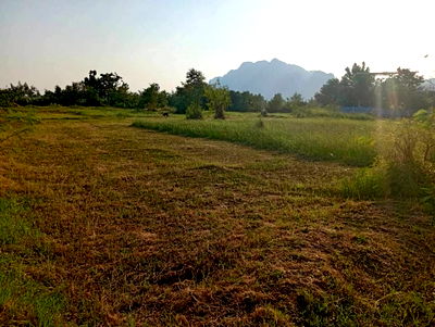 ที่ดิน ชะอำ เพชรบุรี : 🏡💥 ขายที่ดินถมแล้ว – น้ำไฟครบ – ติดถนนสาธารณะ 📍 ต.นายาง อ.ชะอำ จ.เพชรบุรี เนื้อที่ 72 ตารางวา ทำเลดี วิวภูเขา