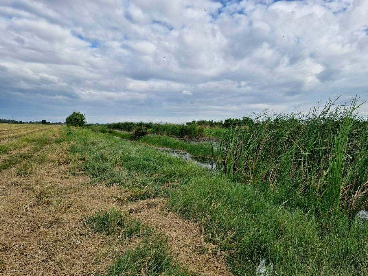 รูป ที่ดิน 5-1-38 ไร่ คลองสาม คลองหลวง
ติดคู่ขนานกาญจนาภิเษก - รูปที่ 10/12