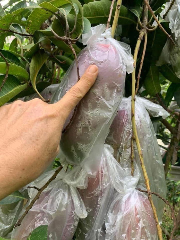 รูป ขายที่ดินทำเลทอง! หมู่บ้านช่างทอง ต.สุเทพ อ.เมืองเชียงใหม่ ใกล้มหาวิทยาลัยเชียงใหม่ (หลัง มช.) - รูปที่ 9/12