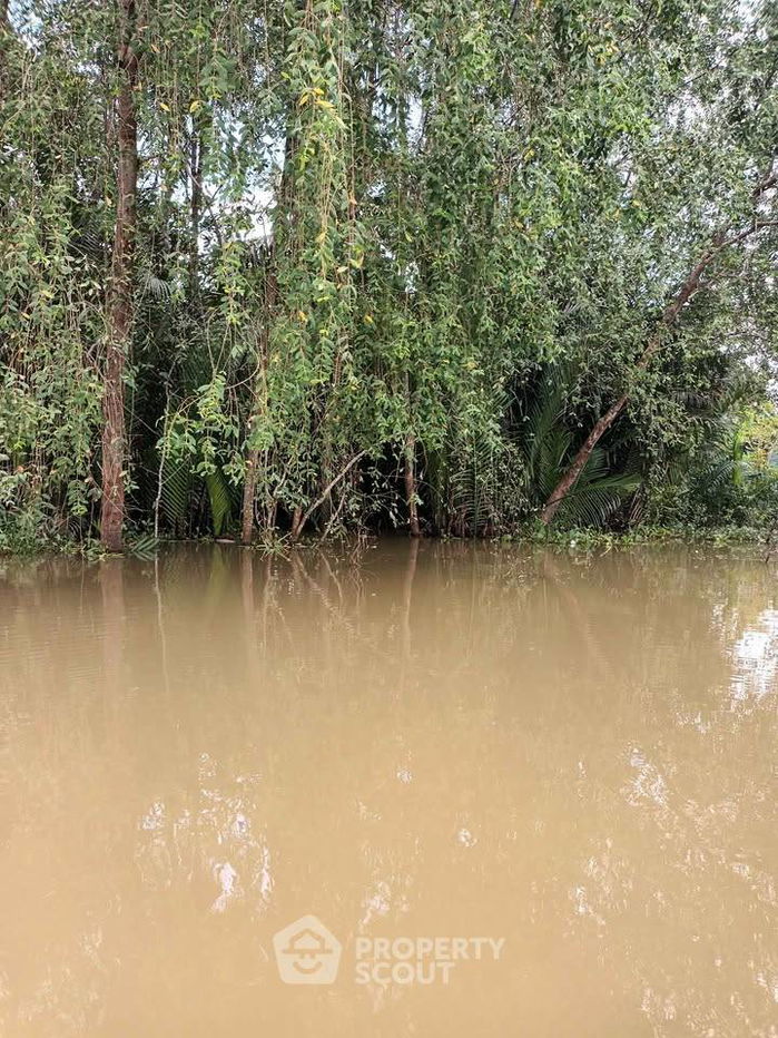 รูป ที่ดินสำหรับปล่อยขาย 4,400 ตารางเมตร แถว ใน คลองฉนาก (ID 2445885) - รูปที่ 3/15