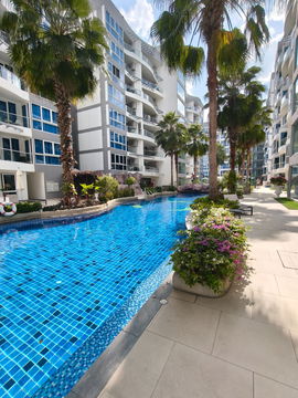 คอนโด grand avenue แบบ 1 ห้องนอน 1 ห้องน้ำซอยบัวขาวพัทยา