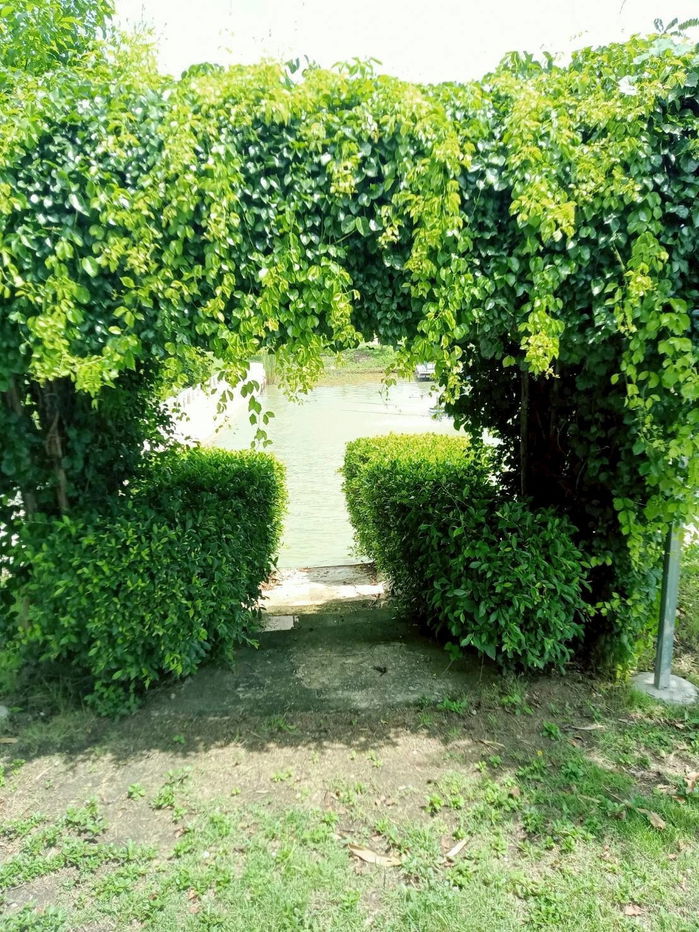 รูป บ้านสวนพร้อมที่ดิน  1 ไร่ 152 ตรว. - รูปที่ 14/15