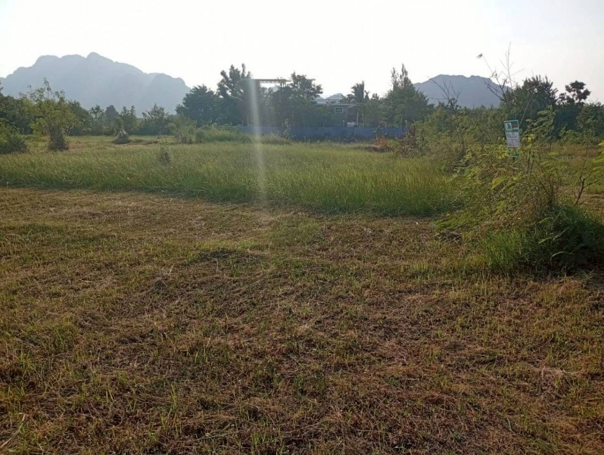 รูป 🏡💥 ขายที่ดินถมแล้ว – น้ำไฟครบ – ติดถนนสาธารณะ 📍 ต.นายาง อ.ชะอำ จ.เพชรบุรี เนื้อที่ 72 ตารางวา ทำเลดี วิวภูเขา - รูปที่ 2/12