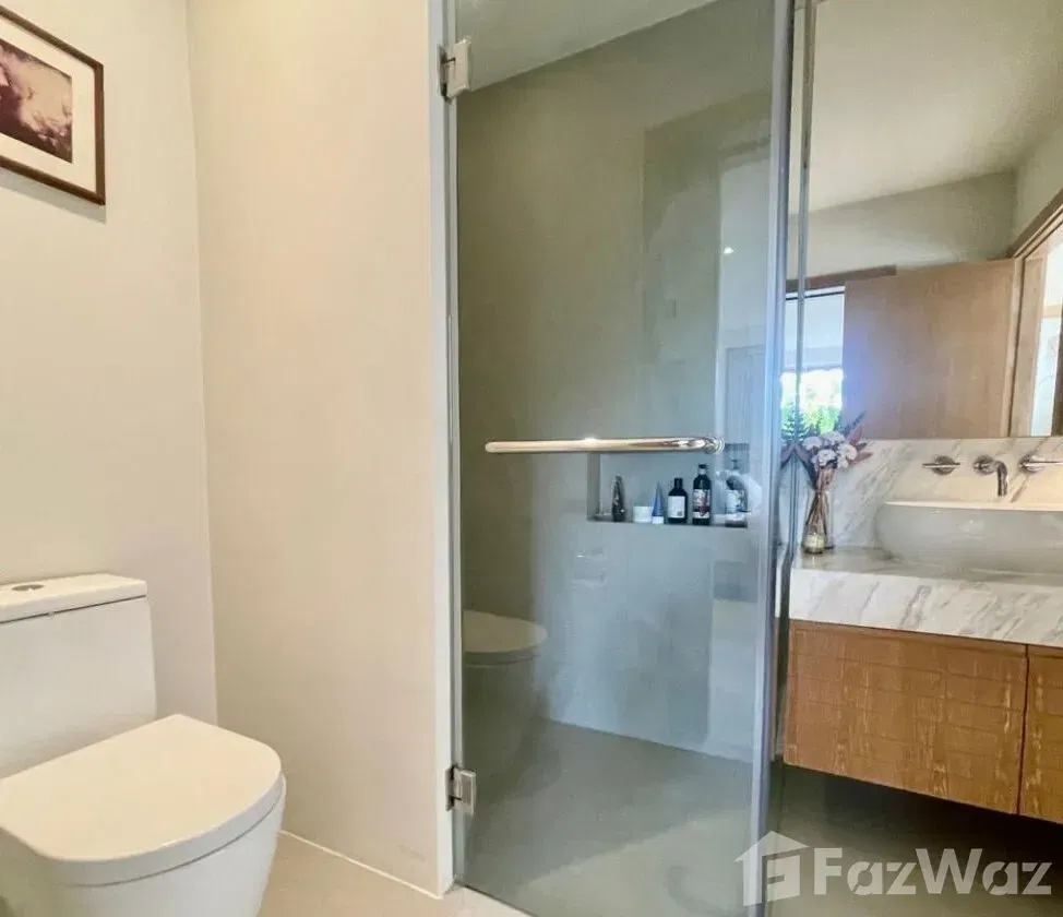 picture Trichada Tropical 1867724 - 4/16