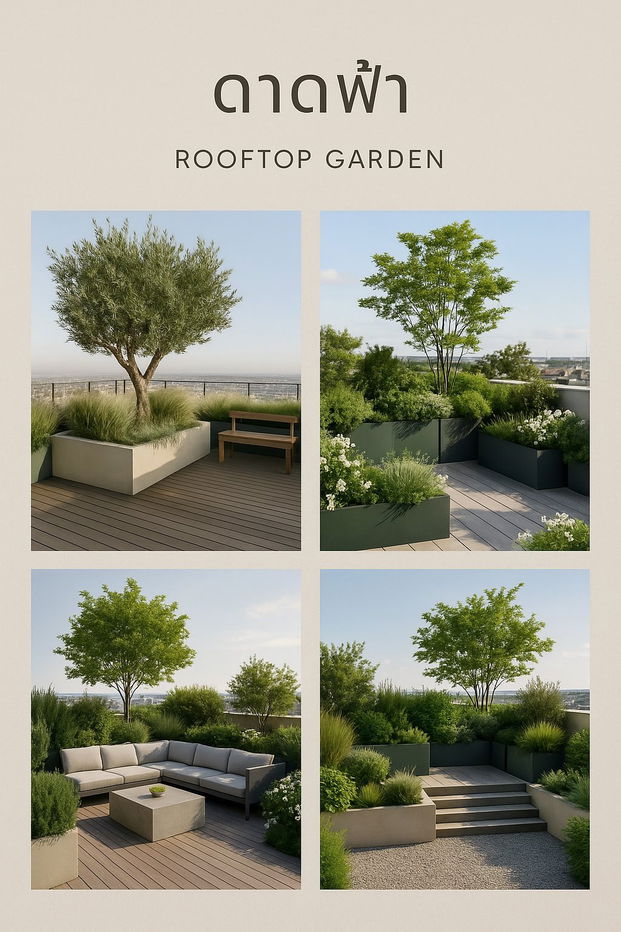 รูป ขายทาวน์เฮ้าส์ ที่ ทาวน์โฮม 3 ชั้น สุขุมวิท 62 - รูปที่ 3/8