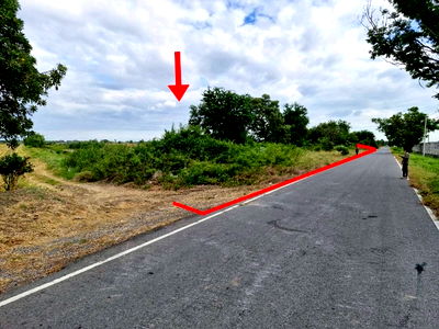 ที่ดิน ถนนเลียบคลองสาม ปทุมธานี : ที่ดิน 5-1-38 ไร่ คลองสาม คลองหลวง
ติดคู่ขนานกาญจนาภิเษก