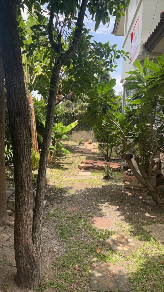 รูป ขายบ้าน 63 ตรว. พฤกษ์ลดา ลาดสวาย ทำเลดี อยู่สบาย - รูปที่ 5/5