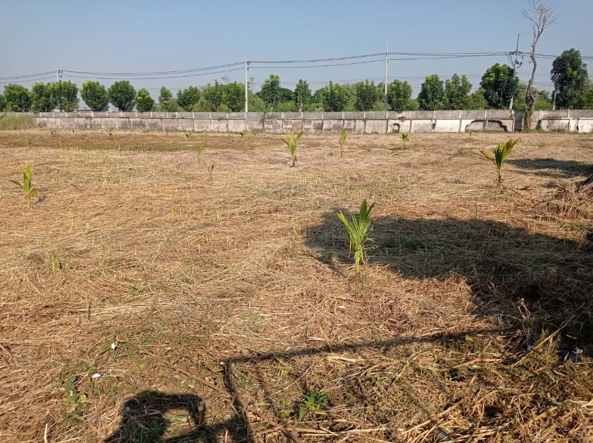 รูป ขายที่ดิน 7 ไร่ รังสิต-นครนายก คลอง15 ตำบลประชาธิปัตย์ อำเภอธัญบุรี จังหวัดปทุมธานี(ธัญบุรี) - รูปที่ 3/13