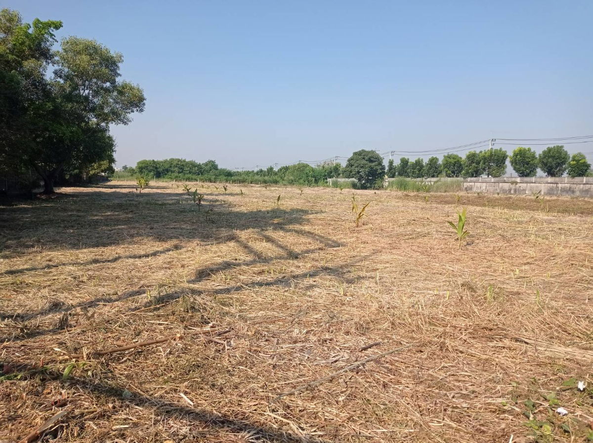 รูป ขายที่ดิน 7 ไร่ รังสิต-นครนายก คลอง15 ตำบลประชาธิปัตย์ อำเภอธัญบุรี จังหวัดปทุมธานี(ธัญบุรี) - รูปที่ 2/13