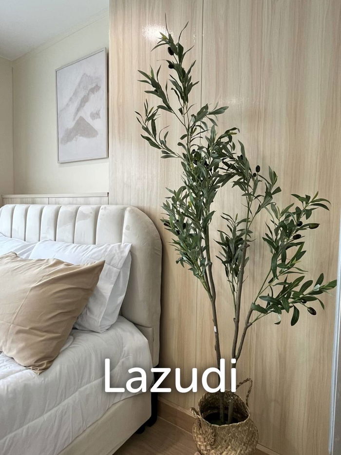 picture 1 Bed 1 Bath 26 SQ.M Lumpini Park Rama 9 - Ratchada - 11/20