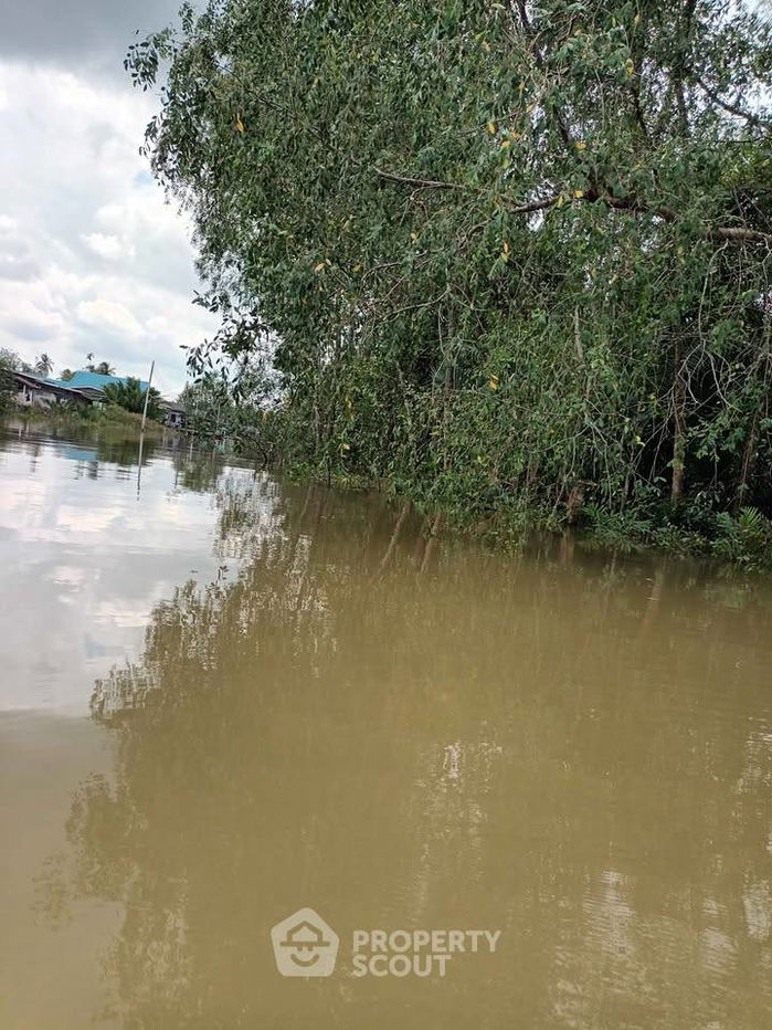 รูป ที่ดินสำหรับปล่อยขาย 4,400 ตารางเมตร แถว ใน คลองฉนาก (ID 2445885) - รูปที่ 4/15