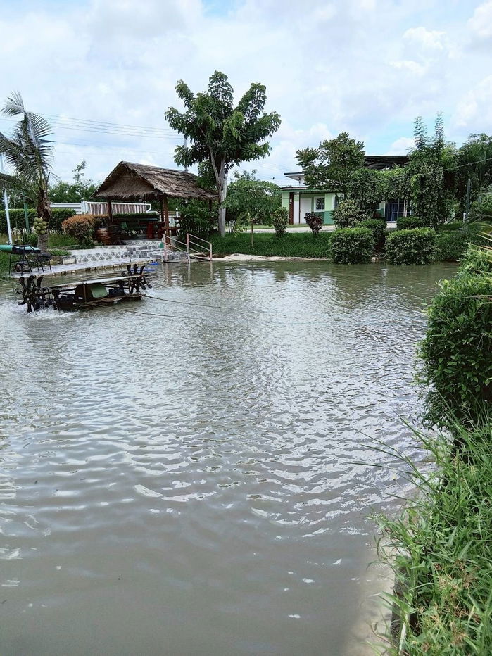 รูป บ้านสวนพร้อมที่ดิน  1 ไร่ 152 ตรว. - รูปที่ 8/15