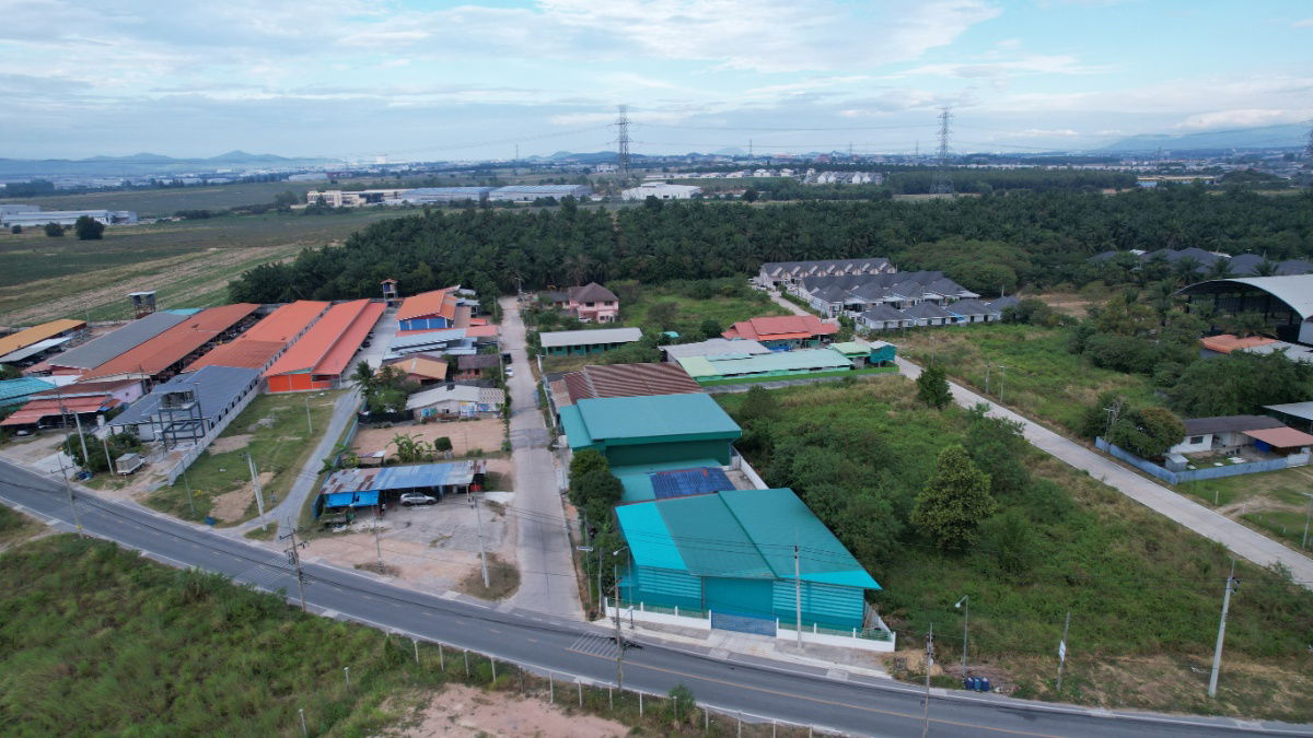 รูป ขายที่ดิน 12 ไร่ 12 ตารางวา ต.มาบยางพร อ.ปลวกแดง ผังเมืองสีม่วงจุดขาว หน้ากว้าง 85 ม. - รูปที่ 8/14