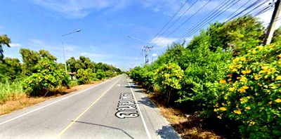 ที่ดิน บ้านฉาง ระยอง : ขายที่ดินระยอง โซนหาดพลา ใกล้สนามบินนานาชาติอู่ตะเภา 