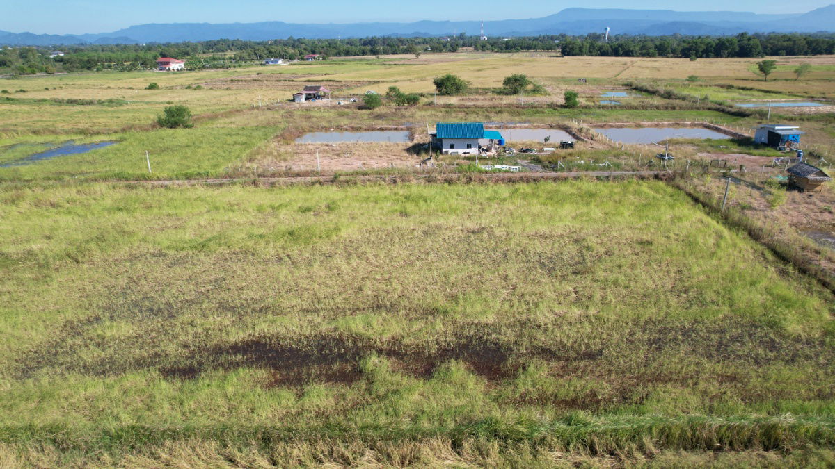 รูป ขายที่ดิน 1 ไร่ (400 ตร.ว.) ต.ปากพลี มีโฉนด ขาย 600,000 พร้อมโอน พร้อมโฉนด - รูปที่ 4/14