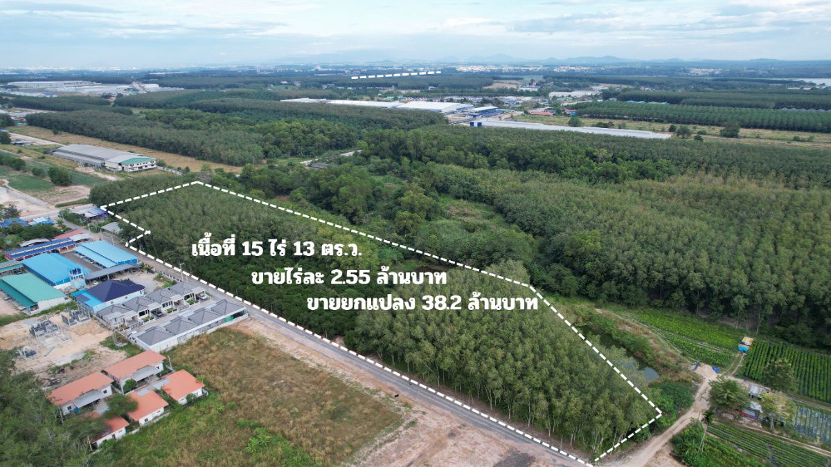 รูป ขายที่ดิน 15 ไร่ แม่น้ำคู้ ซอย 4 ต.แม่น้ำคู้ อ.ปลวกแดง ผังเมืองสีเหลืองอ่อน เจ้าของขายเอง - รูปที่ 4/23