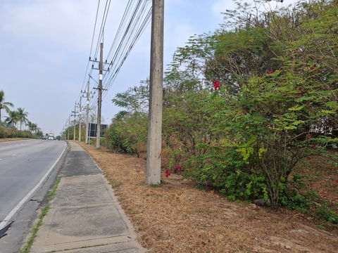 ขายที่สีม่วงเข้ม ถมแล้ว 10 ไร่  ต.เนินพระ อ.เมือง จ.ระยอง