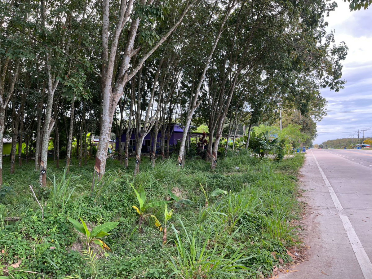 รูป ขายที่ดิน 15 ไร่ แม่น้ำคู้ ซอย 4 ต.แม่น้ำคู้ อ.ปลวกแดง ผังเมืองสีเหลืองอ่อน เจ้าของขายเอง - รูปที่ 20/23