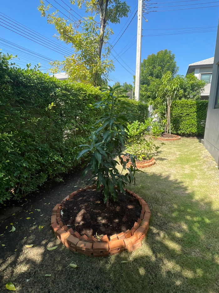 รูป ให้เช่า บ้านแฝดสไตร์บ้านเดี่ยว 2 ชั้น 60 ตรว อยู่ แกรนด์ พลีโน่ รามอินทรา-วงแหวน - รูปที่ 10/36