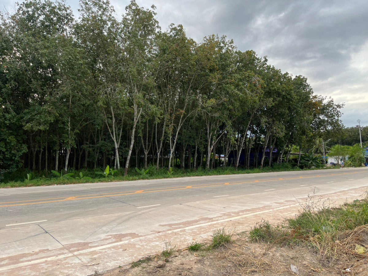 รูป ขายที่ดิน 15 ไร่ แม่น้ำคู้ ซอย 4 ต.แม่น้ำคู้ อ.ปลวกแดง ผังเมืองสีเหลืองอ่อน เจ้าของขายเอง - รูปที่ 17/23