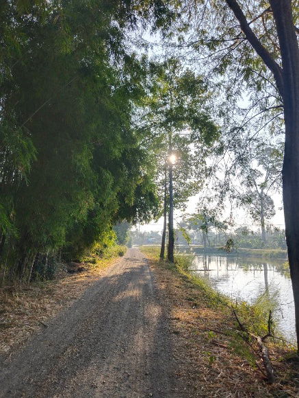 รูป ขายที่ดินแปลงสวยติดน้ำ ติดถนนเพชรเกษม การคมนาคมสะดวก ต.ถ้ำรงค์ อ.บ้านลาด จ.เพชรบุรี - รูปที่ 9/12