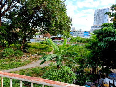 ที่ดิน ล้ง 1919 : ขายที่ดิน ถนนเจริญนคร ใกล้ไอคอนสยาม