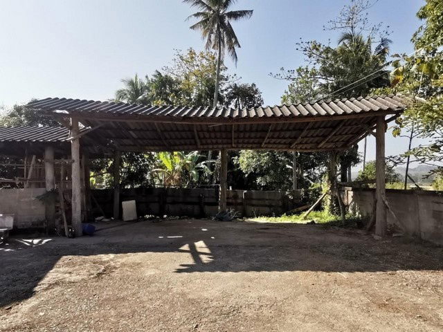 picture FOR SALE HOUSE PROPERTY 722950 BAHT. - 3/8