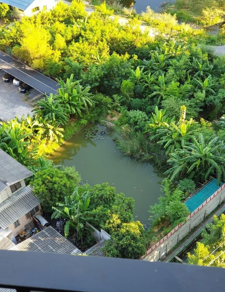 รูป Code : TP15 ให้เช่า
คอนโด Chapter one eco รัชดา - ห้วยขวาง
📌ห้องพร้อมเข้าอยู่
อาคาร E ขนาด 23 ตรม. ห้องStudio ชั้น 12a วิวตึกสูงไม่บล็อค - รูปที่ 10/10