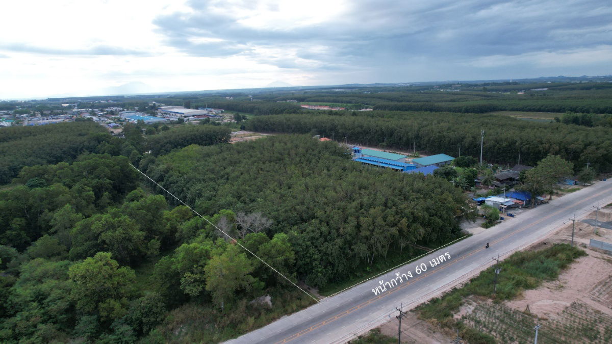 รูป ขายที่ดิน 15 ไร่ แม่น้ำคู้ ซอย 4 ต.แม่น้ำคู้ อ.ปลวกแดง ผังเมืองสีเหลืองอ่อน เจ้าของขายเอง - รูปที่ 8/23