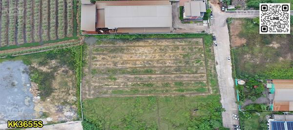รูป ที่ดินสวย 4 ไร่เศษ สีม่วงขอใบ รง.4 ง่าย+ขายต่อสะดวก เด่นสง่าหน้ากว้าง ถมแล้วพร้อมใช้ ในสวนหลวง ใกล้สาย 4 ตัดใหม่ กระทุ่มแบน- KK3655S - รูปที่ 4/6