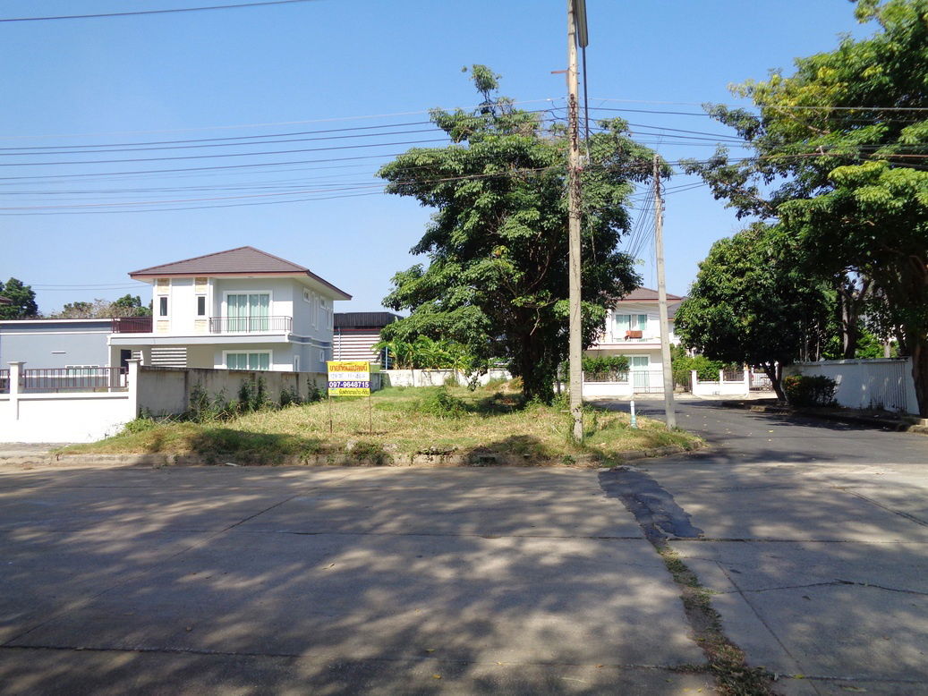 รูป 🚩 ขายที่ดินแปลงหัวมุม 129 ตารางวา ราคาถูกสุด❗ ทำเลดี ภายในโครงการหรูมีระดับ สามโคก ปทุมธานี - รูปที่ 8/24