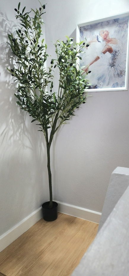 รูป ปล่อยเช่าทาวน์โฮมรีโนเวทใกล้เซนเฟส พร้อมเฟอร์ฯ ( รับระยะสั้น ) หลัง ร.พ.เทพปัญญา , ใกล้เซนเฟส , รวมโชคมอลค์ ,นิมมาน , เมญ่า ( ศรีอนันต์ทาวน์โฮม ) - รูปที่ 25/34