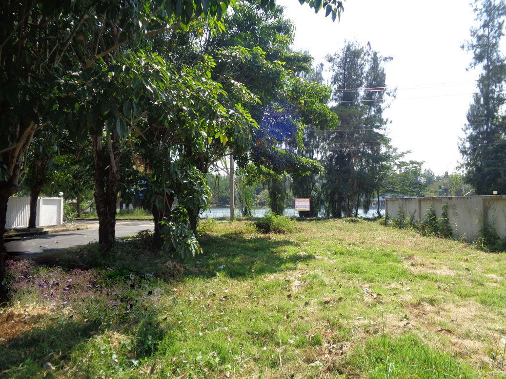 รูป 🚩 ขายที่ดินแปลงหัวมุม 129 ตารางวา ราคาถูกสุด❗ ทำเลดี ภายในโครงการหรูมีระดับ สามโคก ปทุมธานี - รูปที่ 19/24