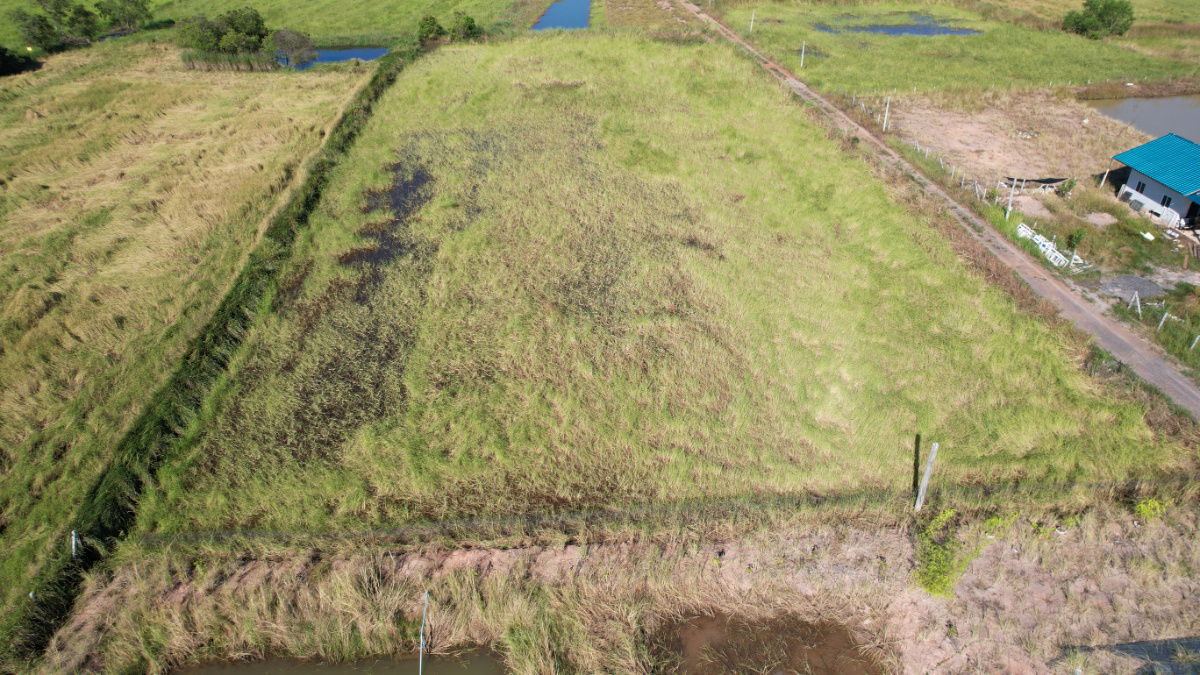 รูป ขายที่ดิน 1 ไร่ (400 ตร.ว.) ต.ปากพลี มีโฉนด ขาย 600,000 พร้อมโอน พร้อมโฉนด - รูปที่ 12/14