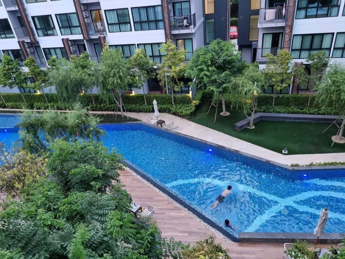 รูป ให้เช่า : คอนโด อะไรซ์ มหิดล เชียงใหม่ ห้องมุมวิวสระ ห้องใหม่มาก โทร082-389-9314 บู - รูปที่ 6/14