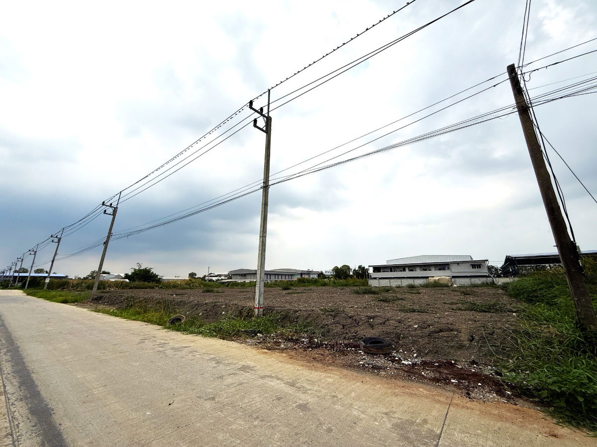 รูป ขายที่ดินถมแล้ว 1ไร่ มี 2 แปลง ซ.หทัยราษฏร์ 63 เข้าออกสะดวก ติดถนนหลัก ต.ลาดสวาย ปทุมธานี - รูปที่ 3/3