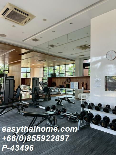 รูป P-43496 ให้เช่า คอนโด วายน์ สุขุมวิท Sukhumvit Rd, Phra Khanong, Khlong Toei, Bangkok พร้อมอยู่ ราคาถูก Line Id @easythaihome 085-592-2897 - รูปที่ 9/9