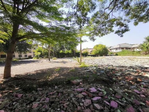 BP00617 ขายที่ดินว่างเปล่า ตำบลช้างคลาน อำเภอเมืองเชียงใหม่ เชียงใหม่