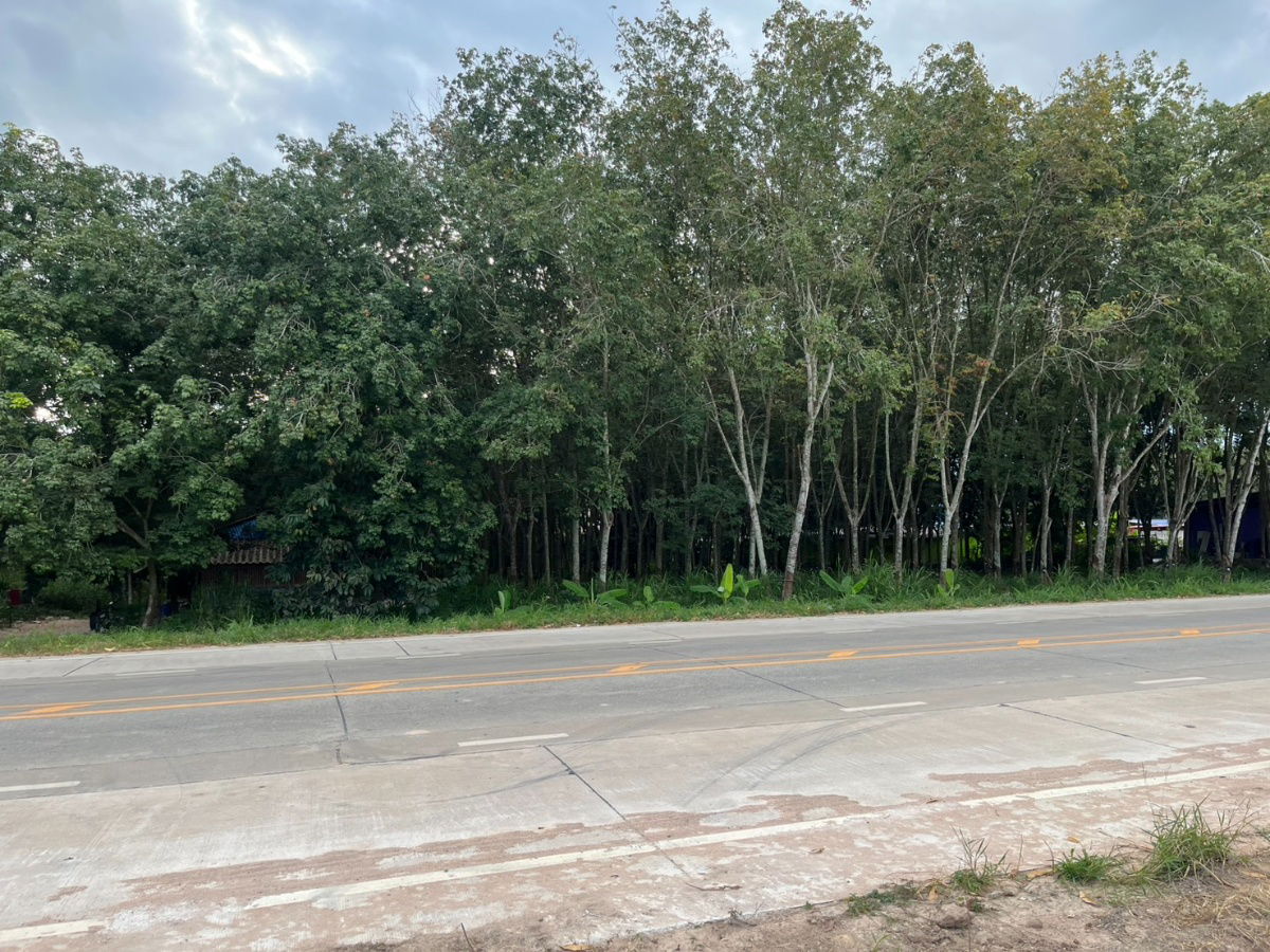 รูป ขายที่ดิน 15 ไร่ แม่น้ำคู้ ซอย 4 ต.แม่น้ำคู้ อ.ปลวกแดง ผังเมืองสีเหลืองอ่อน เจ้าของขายเอง - รูปที่ 16/23