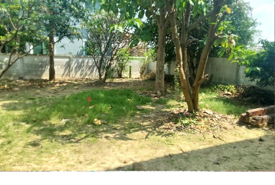 รูป ขายบ้านเดี่ยว จิตลดาแลนด์ ไทรน้อย-นนทบุรี 3นอน 2น้ำ พื้นที่ 110ตร.ว. ถ.บางกรวย-ไทรน้อย นนทบุรี - รูปที่ 7/21