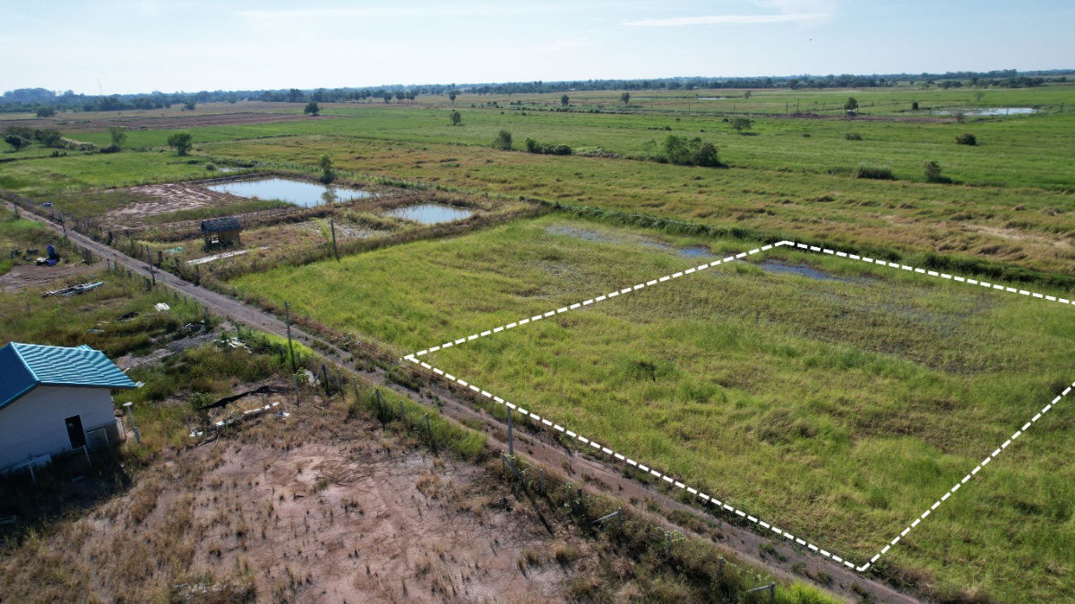 รูป ขายที่ดิน 1 ไร่ (400 ตร.ว.) ต.ปากพลี มีโฉนด ขาย 600,000 พร้อมโอน พร้อมโฉนด - รูปที่ 7/14