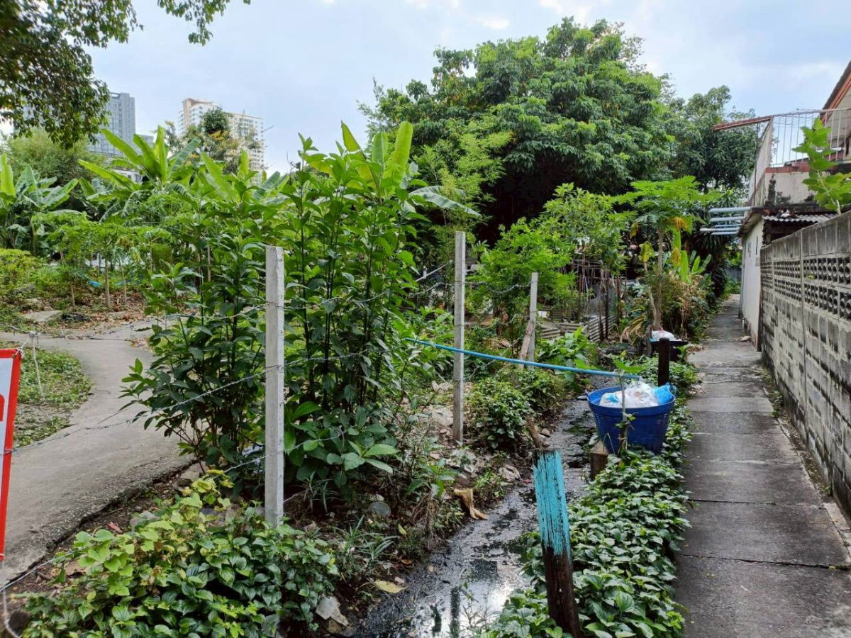 รูป ขายที่ดิน ถนนเจริญนคร ใกล้ไอคอนสยาม - รูปที่ 3/4