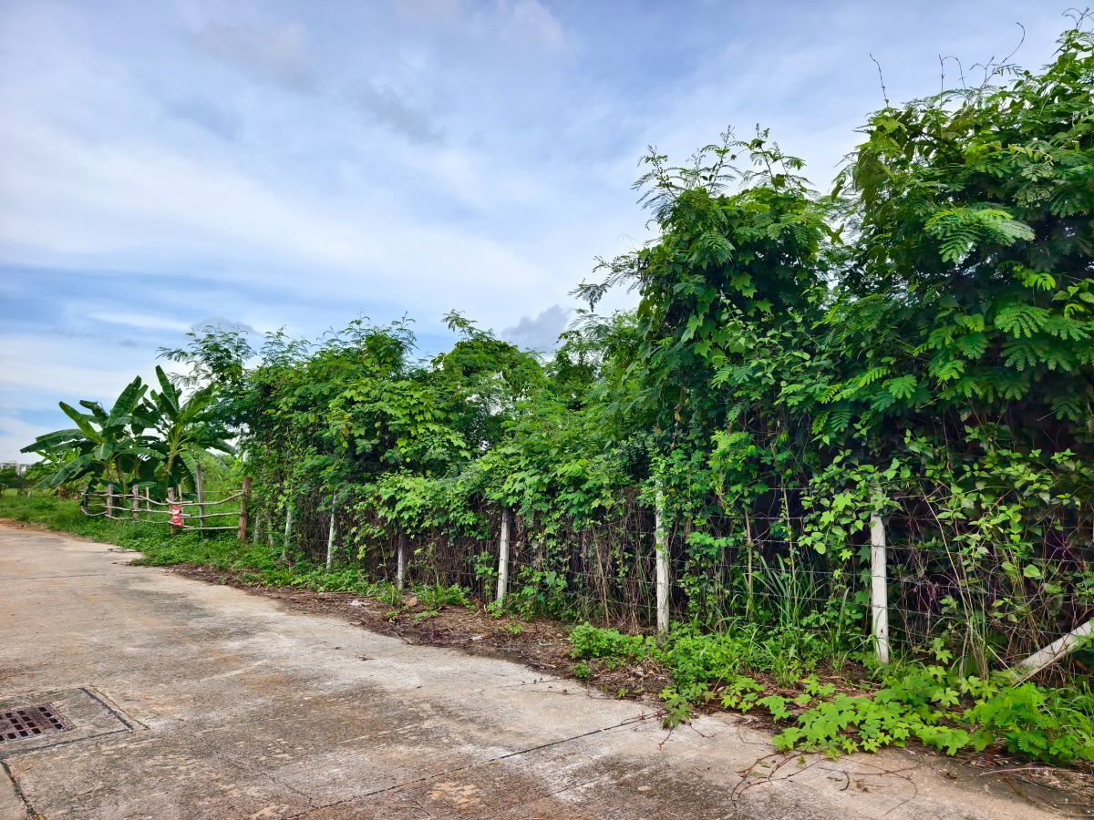 รูป ขายที่ดิน 251.8 ตรว 7 ล้านบาท ใจกลางเมืองลำปาง เจ้าของขายเอง - รูปที่ 3/4