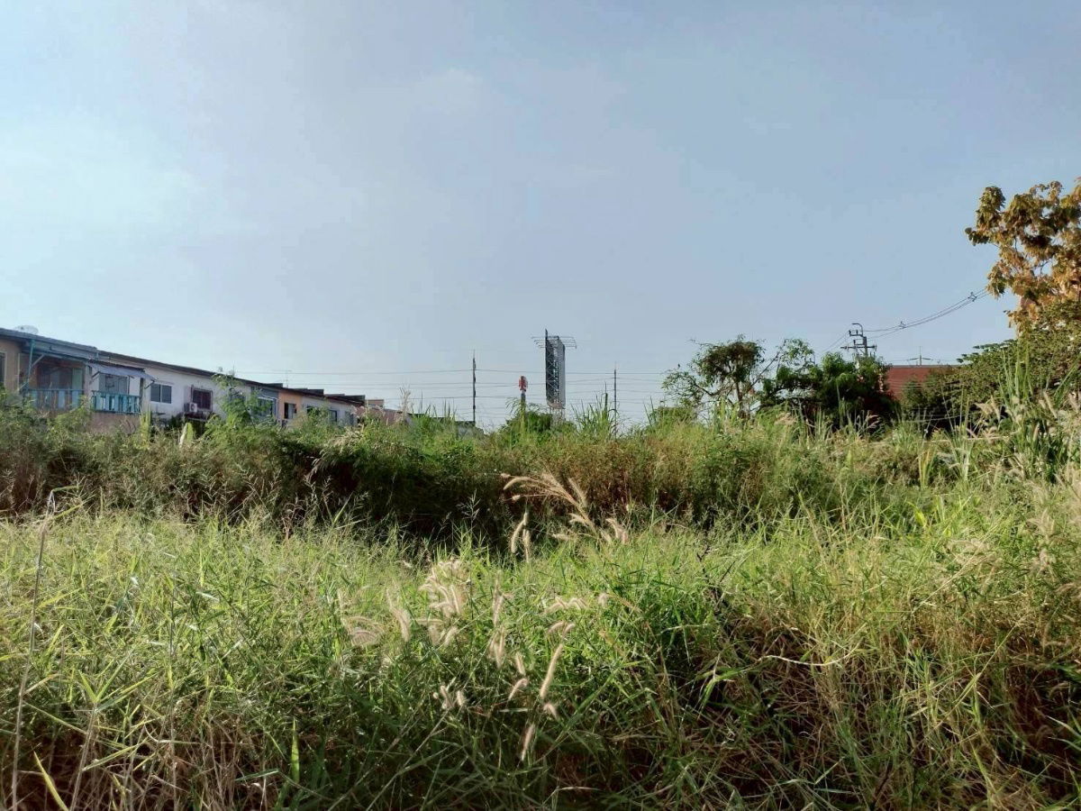 รูป ขายด่วนที่ดินติวานนท์ 138 ตรว ใกล้โรบินสันไลฟ์สไตล์ ศรีสมาน ติดถนนคอนกรีต ถมแล้ว ซ.100 ล้าน อ.ปากเกร็ด จ.นนทบุรี - รูปที่ 3/9